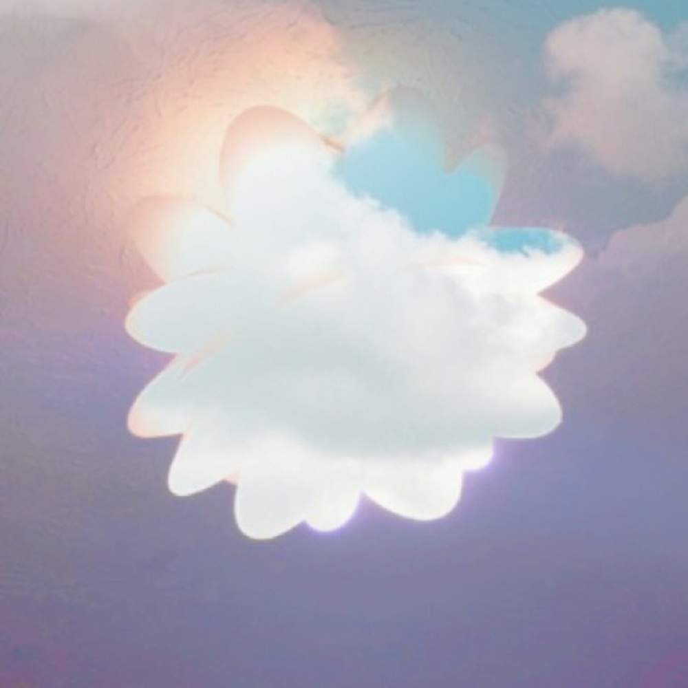 Meet your Posher, Mykenzie